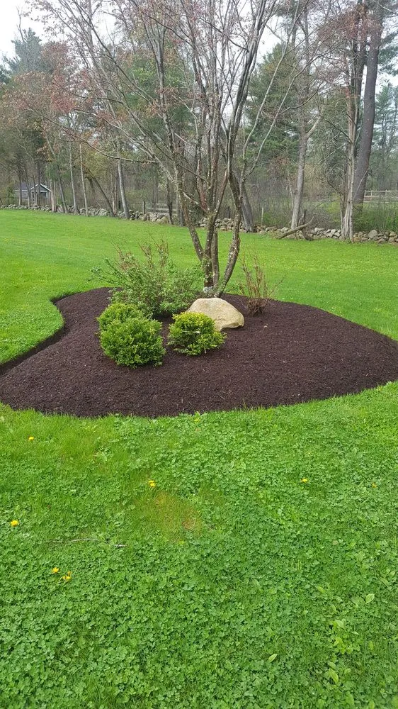 Expert yard cleanup service for outdoor upgrades in Weymouth, MA by 88 Landscaping