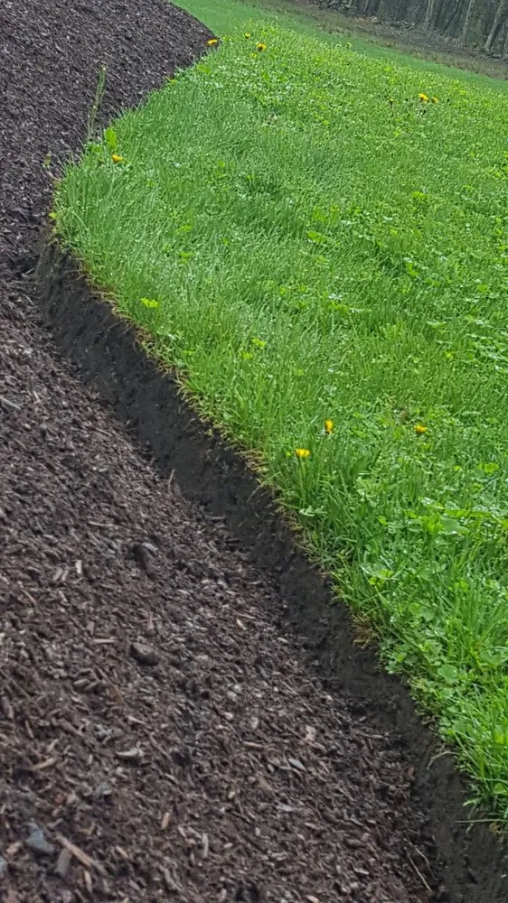 Top-rated yard maintenance in Weymouth, MA - 88 Landscaping