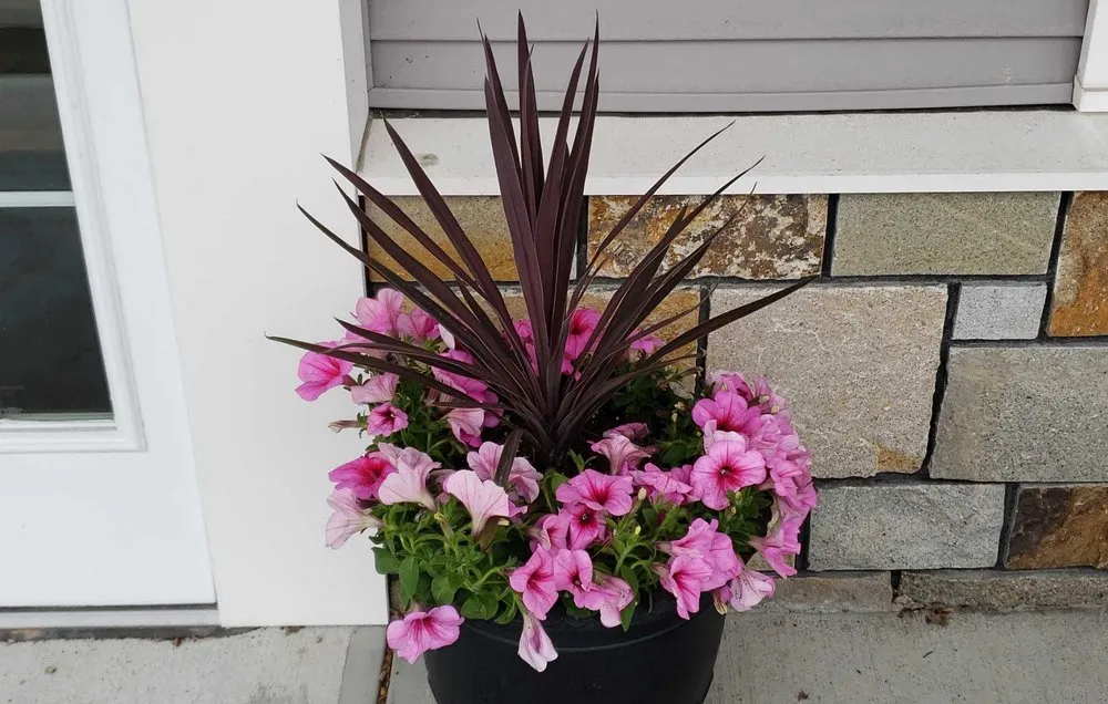 Top-rated garden landscaping in Weymouth, MA by 88 Landscaping