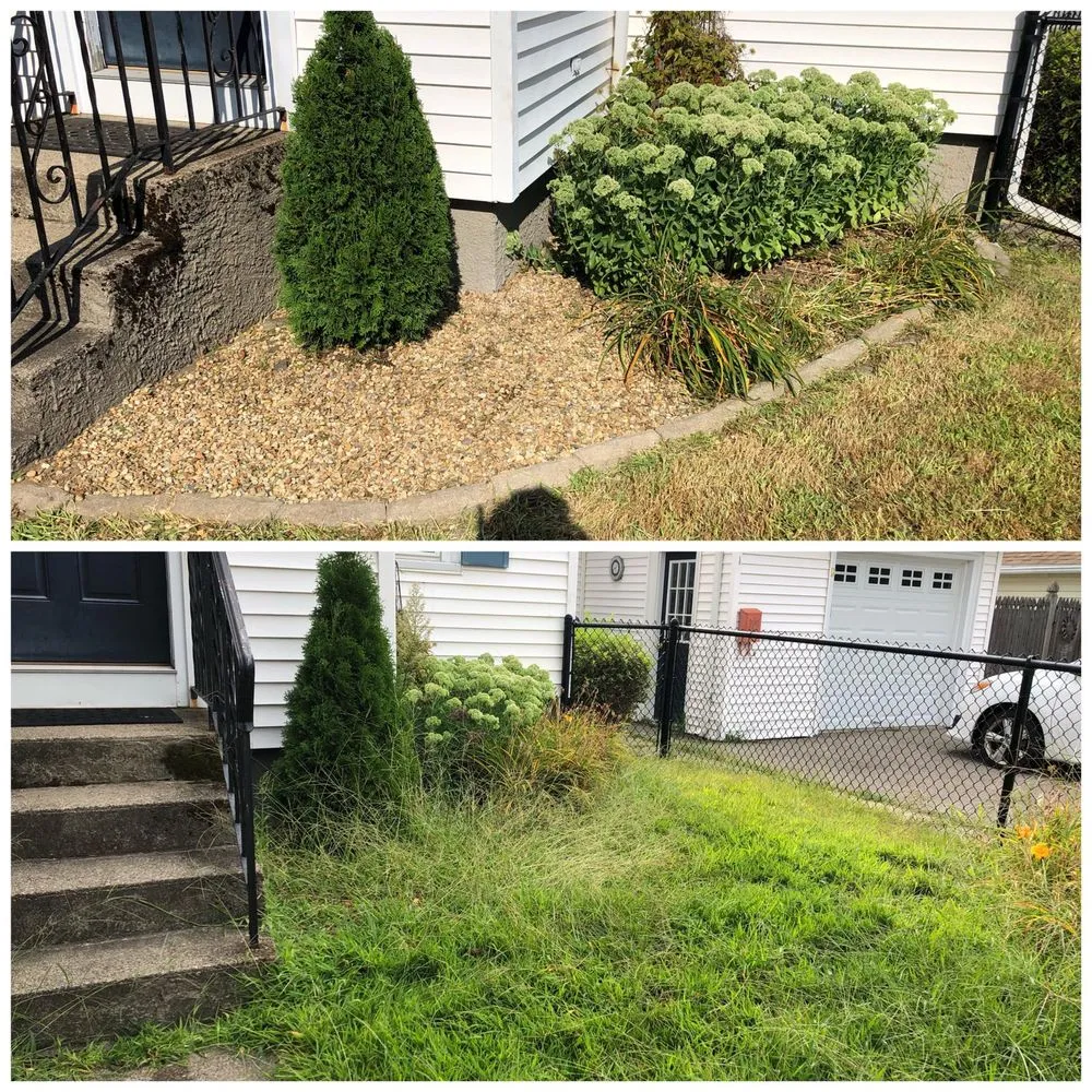 Reliable lawn care service for beautiful yards across Weymouth, MA - 88 Landscaping