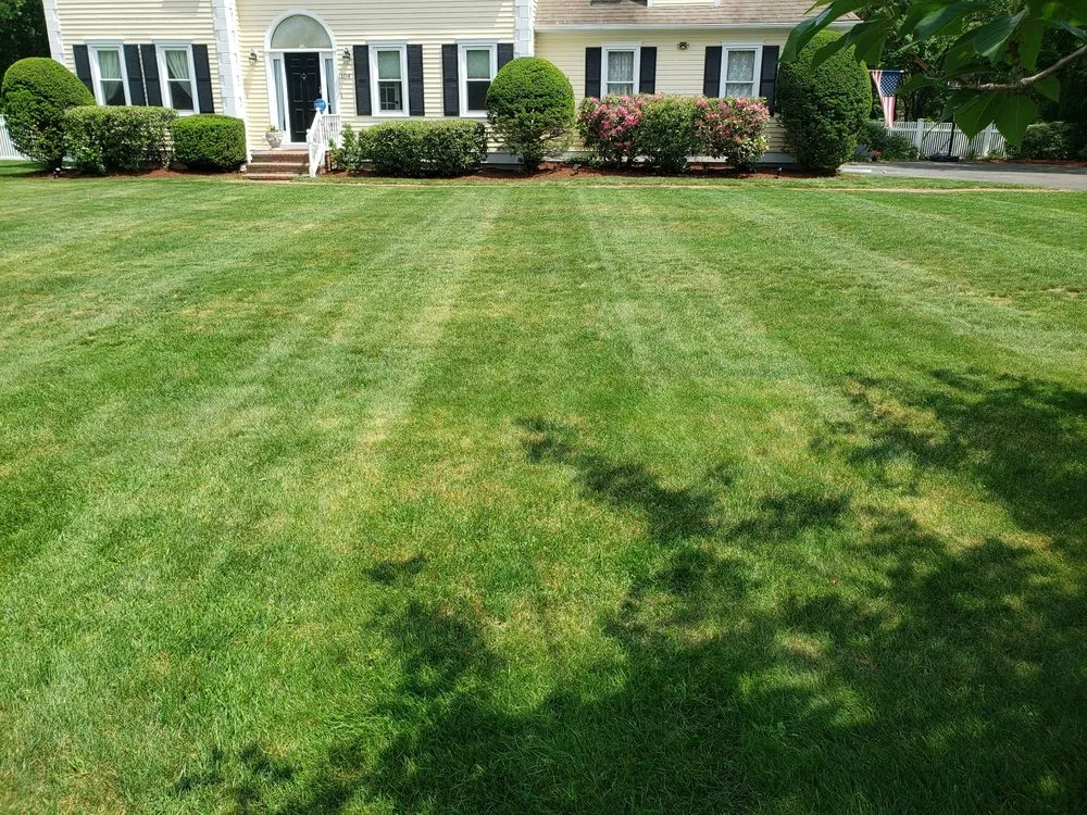 Top-rated landscape design experts serving Weymouth, MA - 88 Landscaping