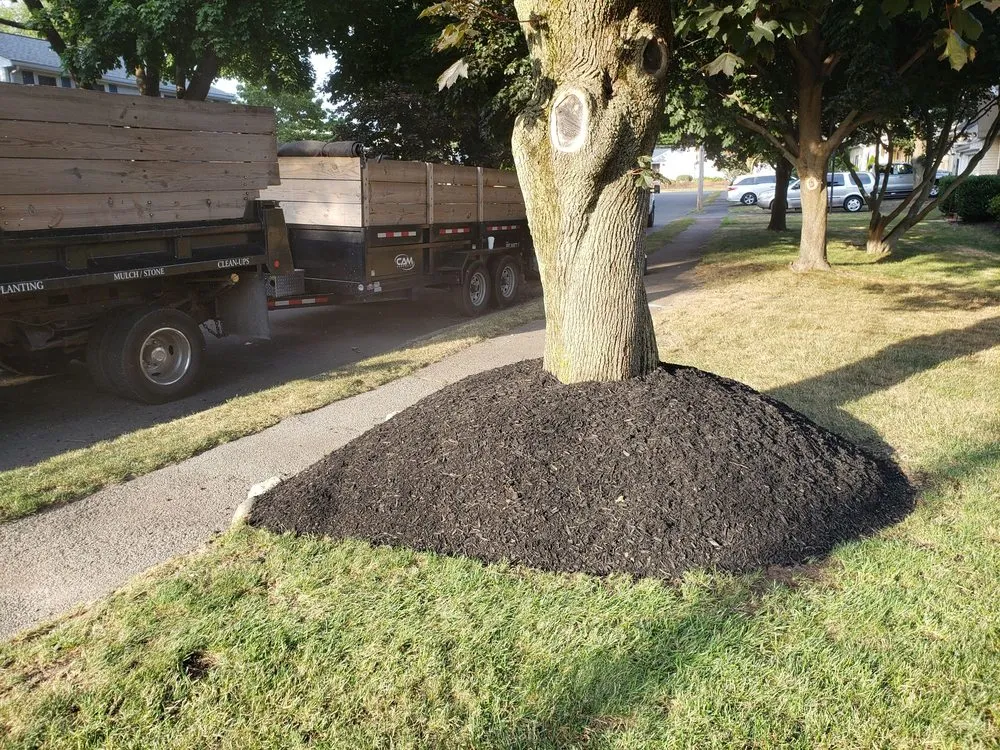 Affordable garden landscaping for residential properties across Weymouth, MA - 88 Landscaping