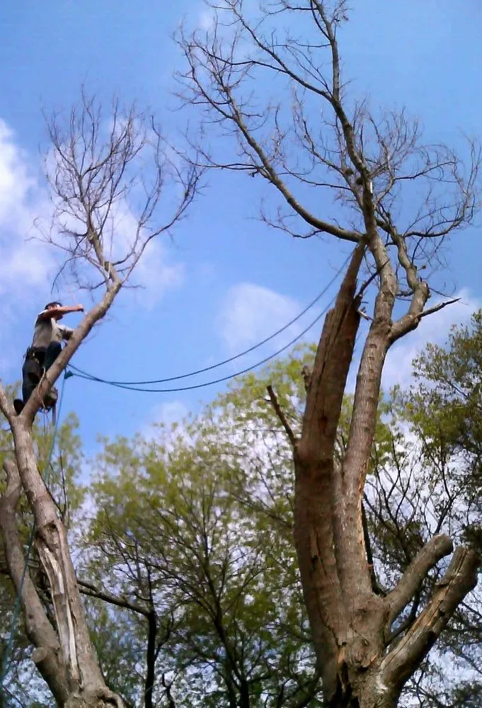 Affordable landscape installation for beautiful yards across San Antonio, TX - 9-1-1 Landscaping And Tree Services