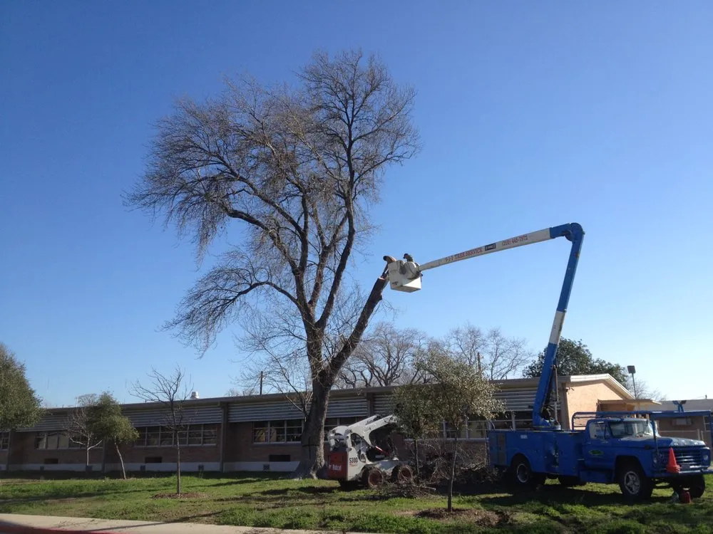 Top-rated yard cleanup service for homes across San Antonio, TX - 9-1-1 Landscaping And Tree Services