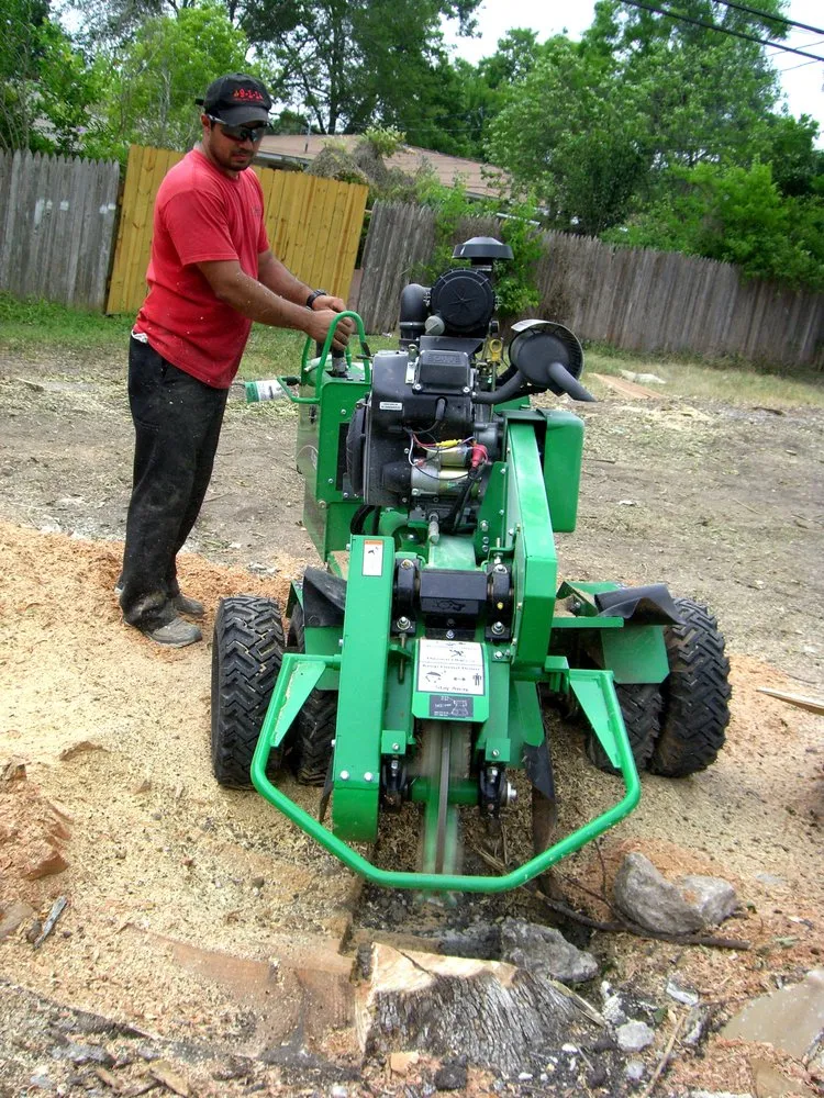 Expert yard maintenance for outdoor upgrades in San Antonio, TX by 9-1-1 Landscaping And Tree Services