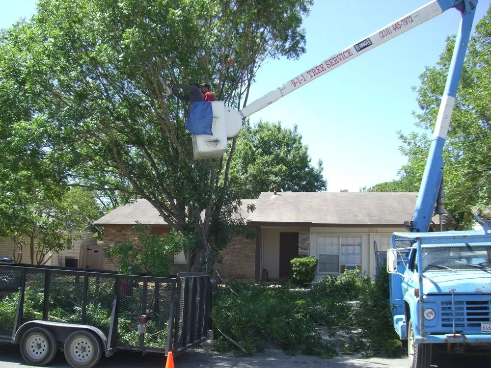 Professional lawn care service for residential properties in San Antonio, TX by 9-1-1 Landscaping And Tree Services