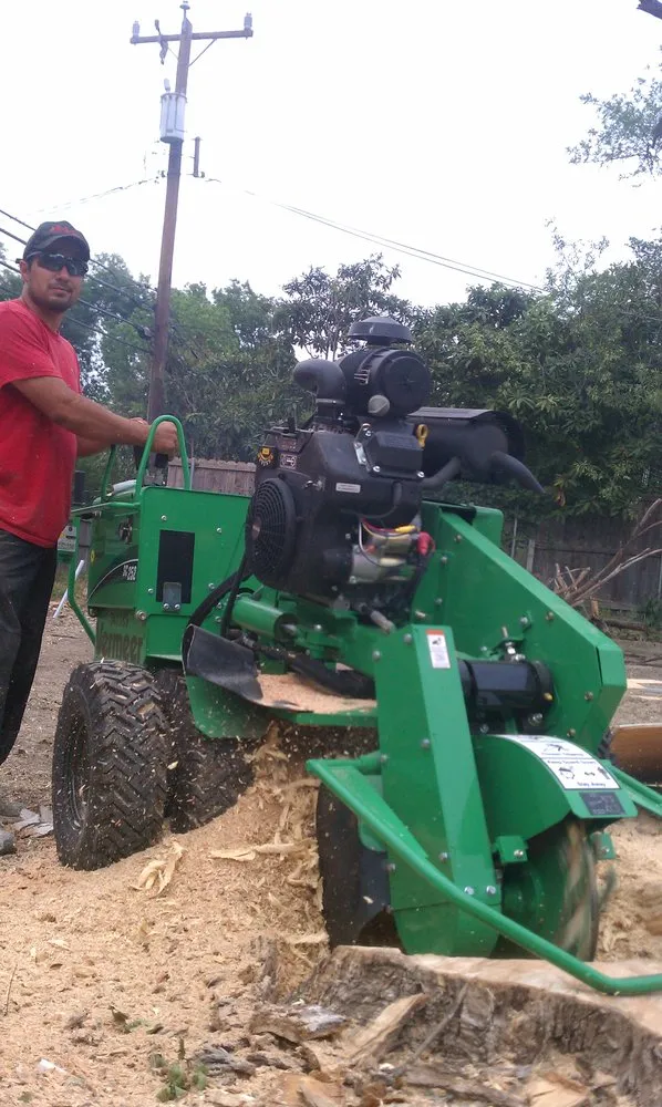 Local landscape design in San Antonio, TX - 9-1-1 Landscaping And Tree Services