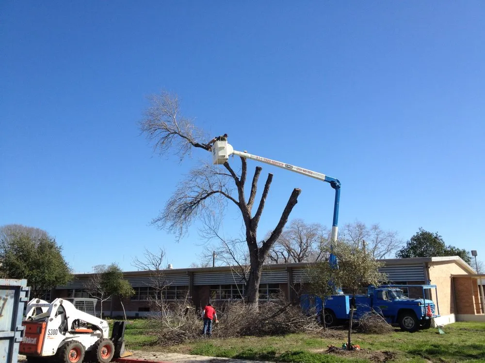 Reliable yard maintenance in San Antonio, TX by 9-1-1 Landscaping And Tree Services