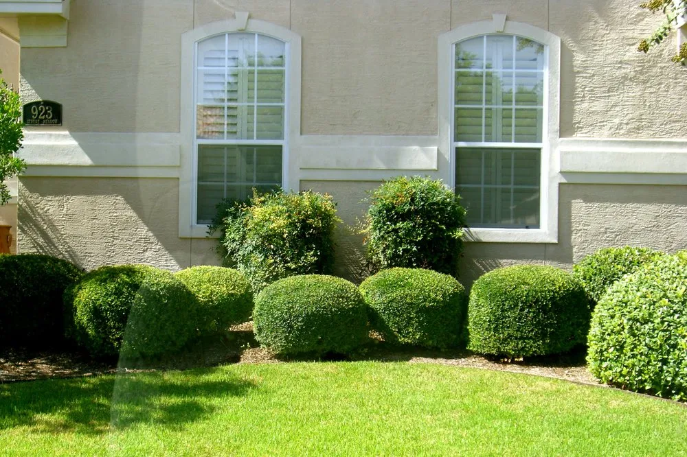 Trusted lawn care service for beautiful yards across San Antonio, TX - 9-1-1 Landscaping And Tree Services