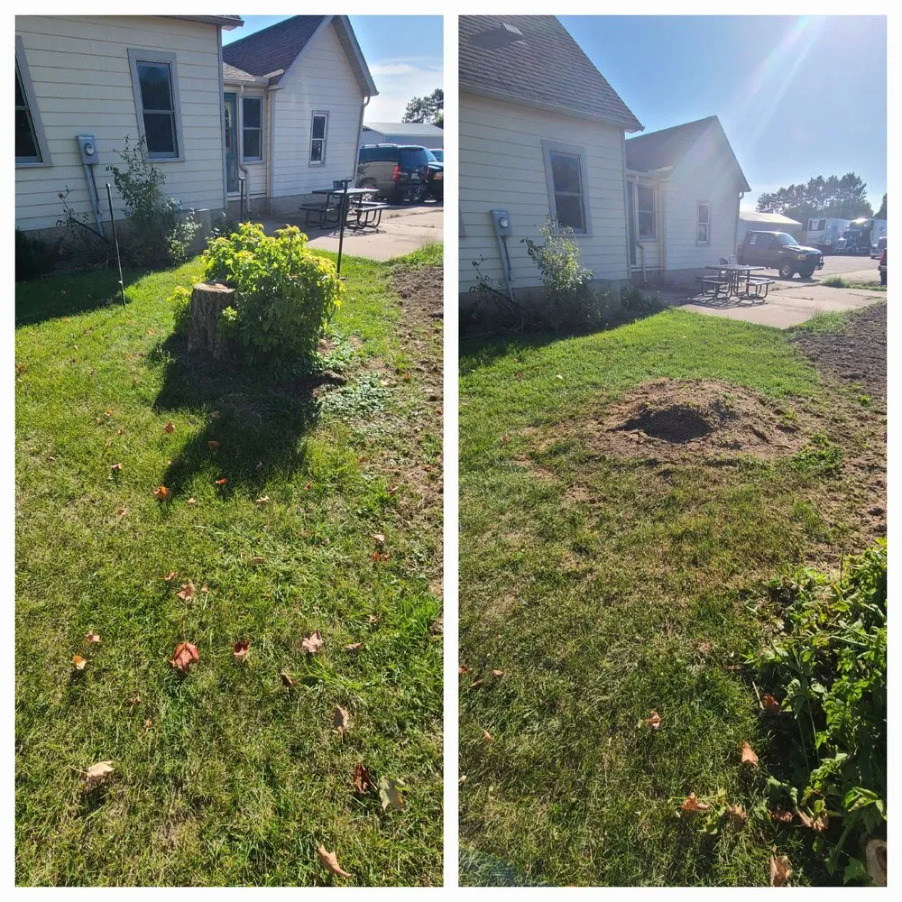 Top-rated yard cleanup service for beautiful yards across Rush City, MN - 9 Fingers