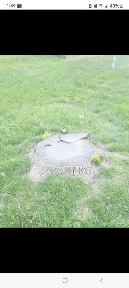 Expert residential landscaping experts serving Rush City, MN - 9 Fingers