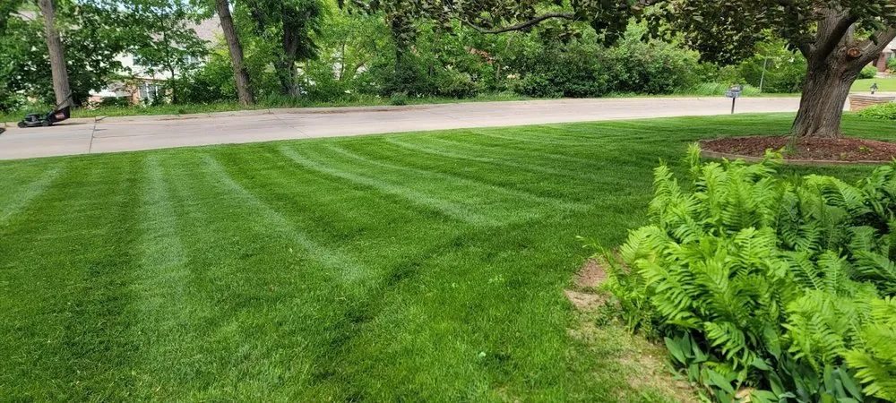 Local lawn care service for residential properties in Fort Calhoun, NE by 9-Juan-Juan Lawn Care & Snow Removal