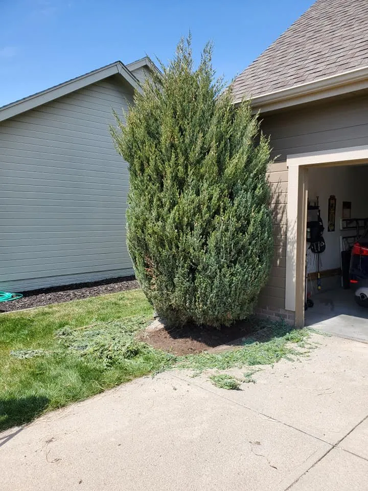 Trusted landscaping services experts serving Fort Calhoun, NE - 9-Juan-Juan Lawn Care & Snow Removal