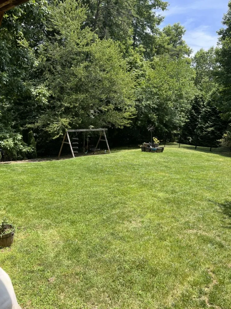 Professional outdoor landscaping in Mills River, NC - 9-Juan-Juan Lawncare