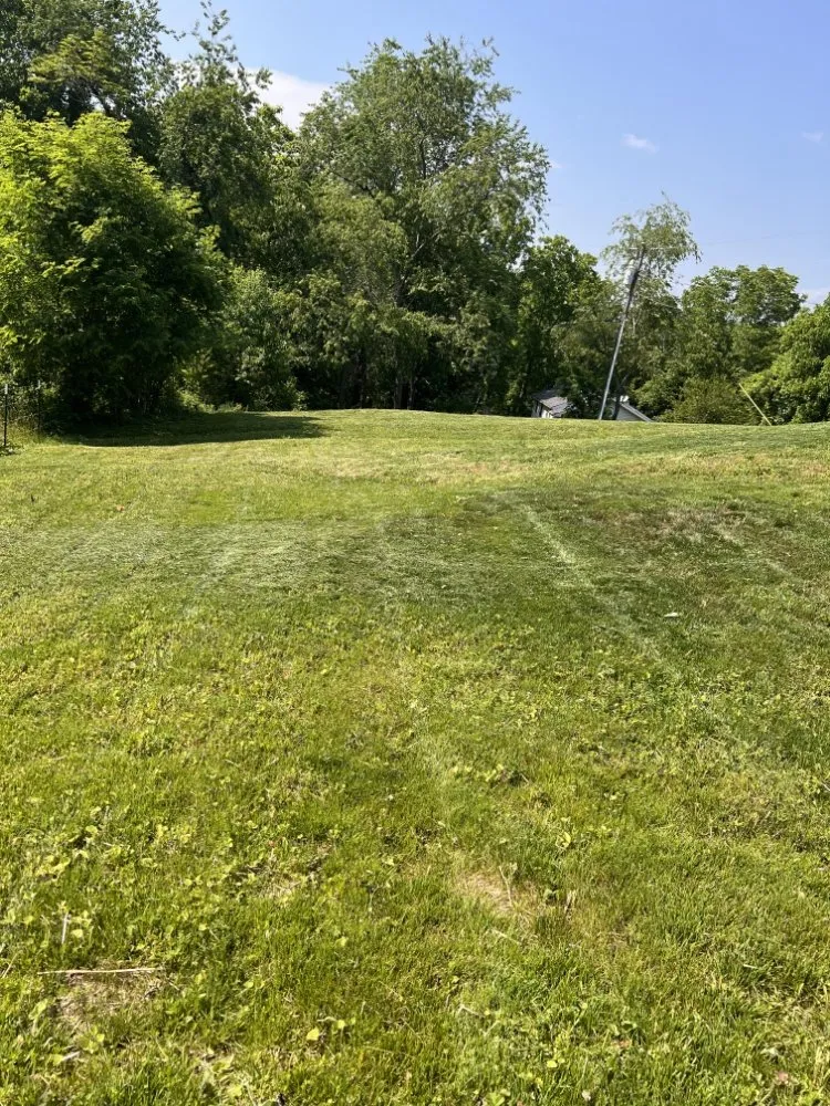 Reliable outdoor landscaping experts serving Mills River, NC - 9-Juan-Juan Lawncare