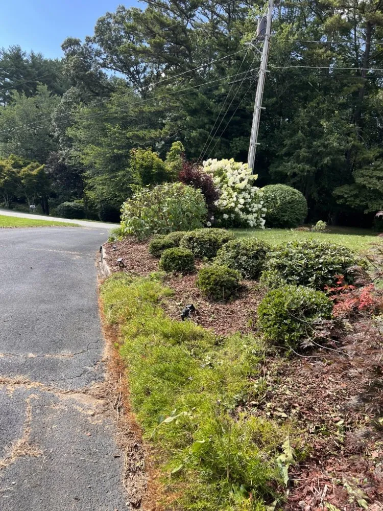 Top-rated garden landscaping experts serving Mills River, NC - 9-Juan-Juan Lawncare