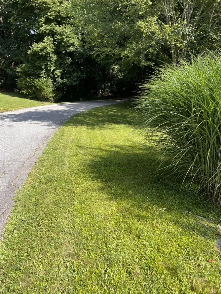 Local lawn care service experts serving Mills River, NC - 9-Juan-Juan Lawncare