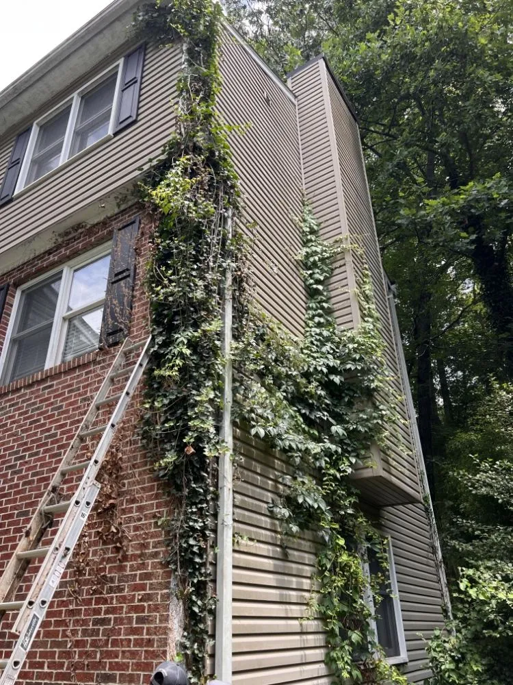 Professional yard maintenance for beautiful yards in Mills River, NC by 9-Juan-Juan Lawncare