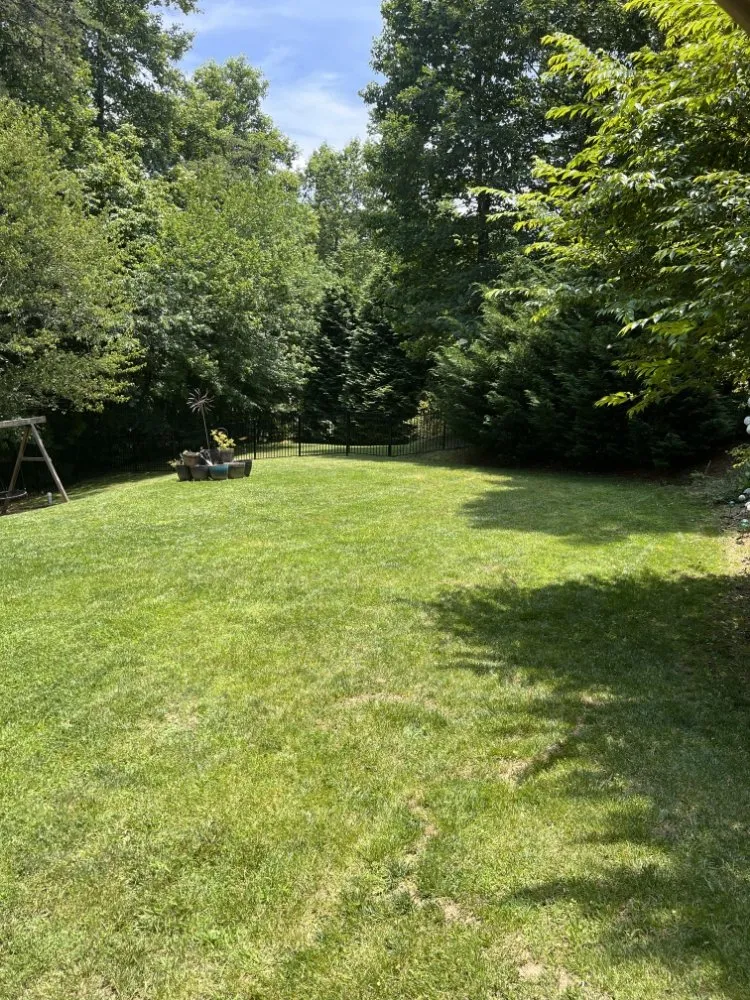 Custom yard maintenance experts serving Mills River, NC - 9-Juan-Juan Lawncare