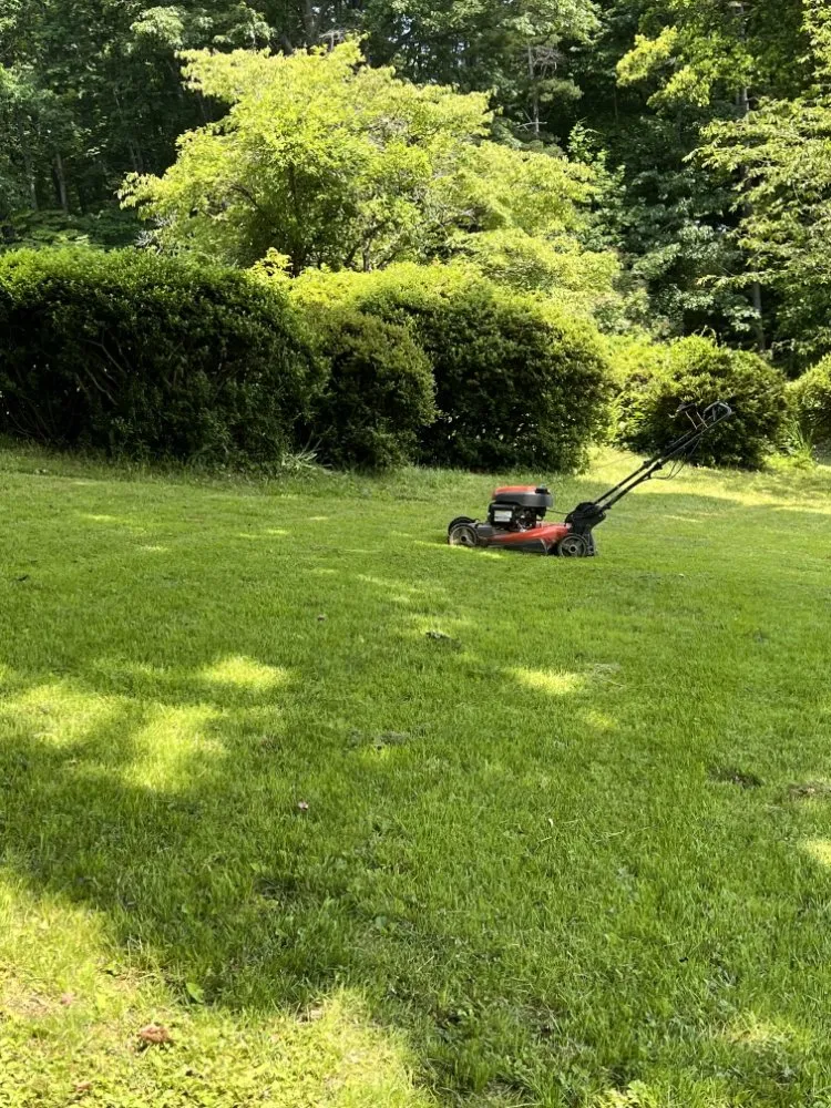 Expert landscaping services in Mills River, NC - 9-Juan-Juan Lawncare