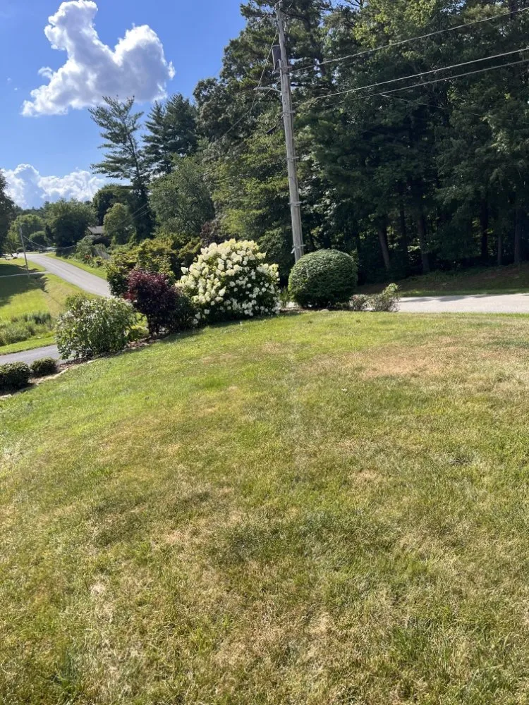 Trusted residential landscaping in Mills River, NC by 9-Juan-Juan Lawncare