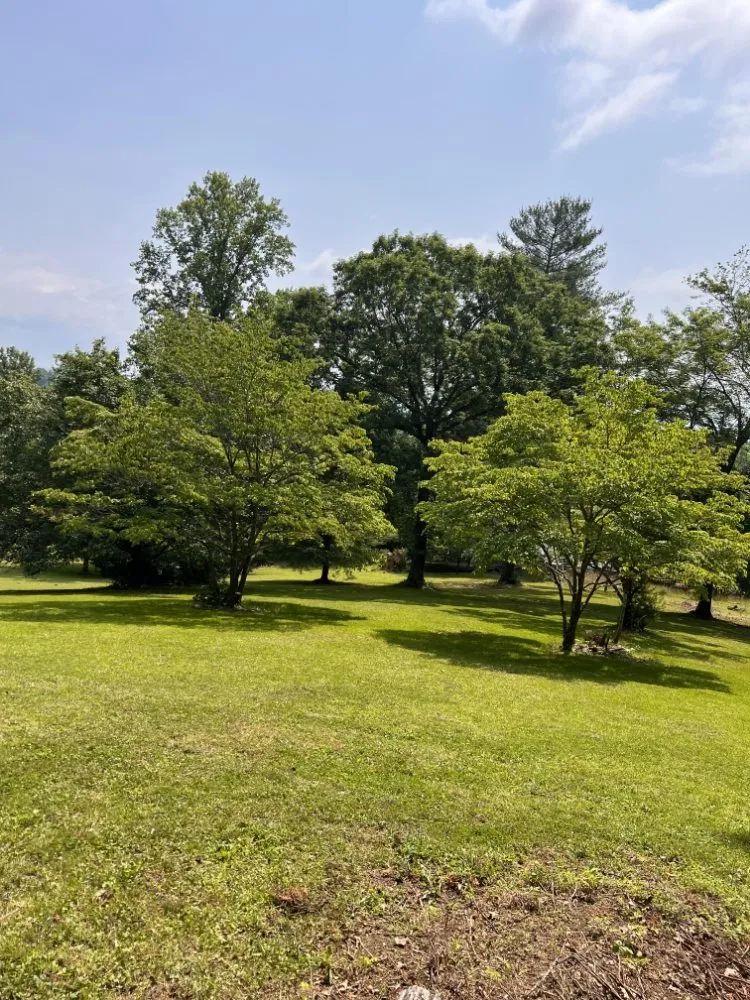 Top-rated garden landscaping for beautiful yards across Mills River, NC - 9-Juan-Juan Lawncare