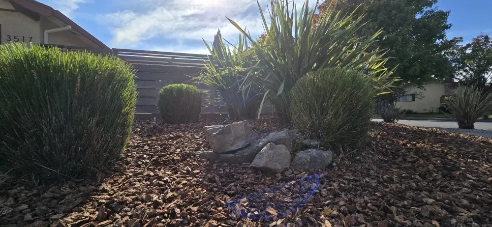 Reliable lawn care service for outdoor upgrades in Napa, CA by 9 Line Landscaping