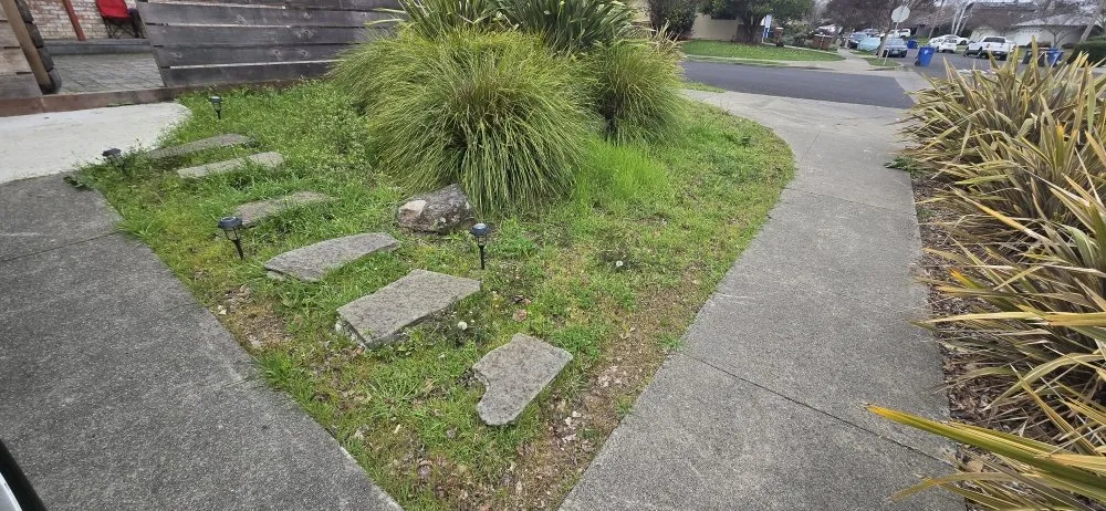 Affordable landscape design experts serving Napa, CA - 9 Line Landscaping