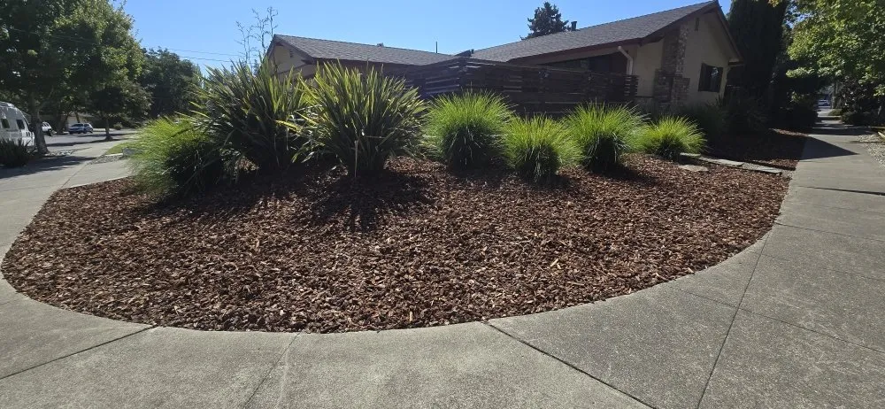 Local residential landscaping in Napa, CA - 9 Line Landscaping