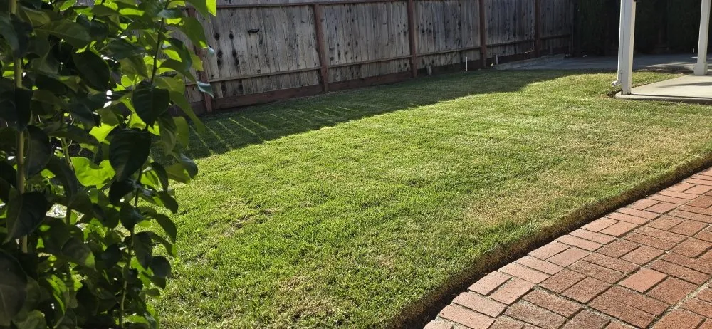 Affordable outdoor landscaping with custom design across Napa, CA - 9 Line Landscaping