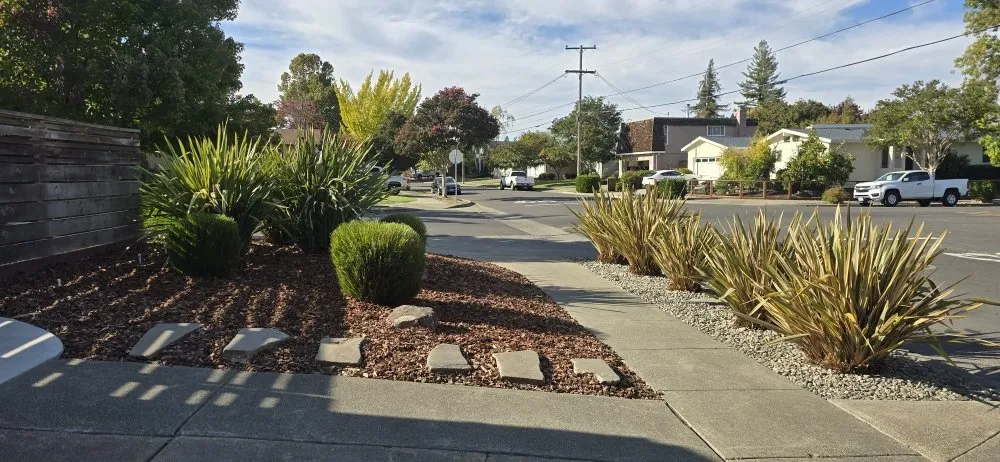 Top-rated landscaping services for homes across Napa, CA - 9 Line Landscaping