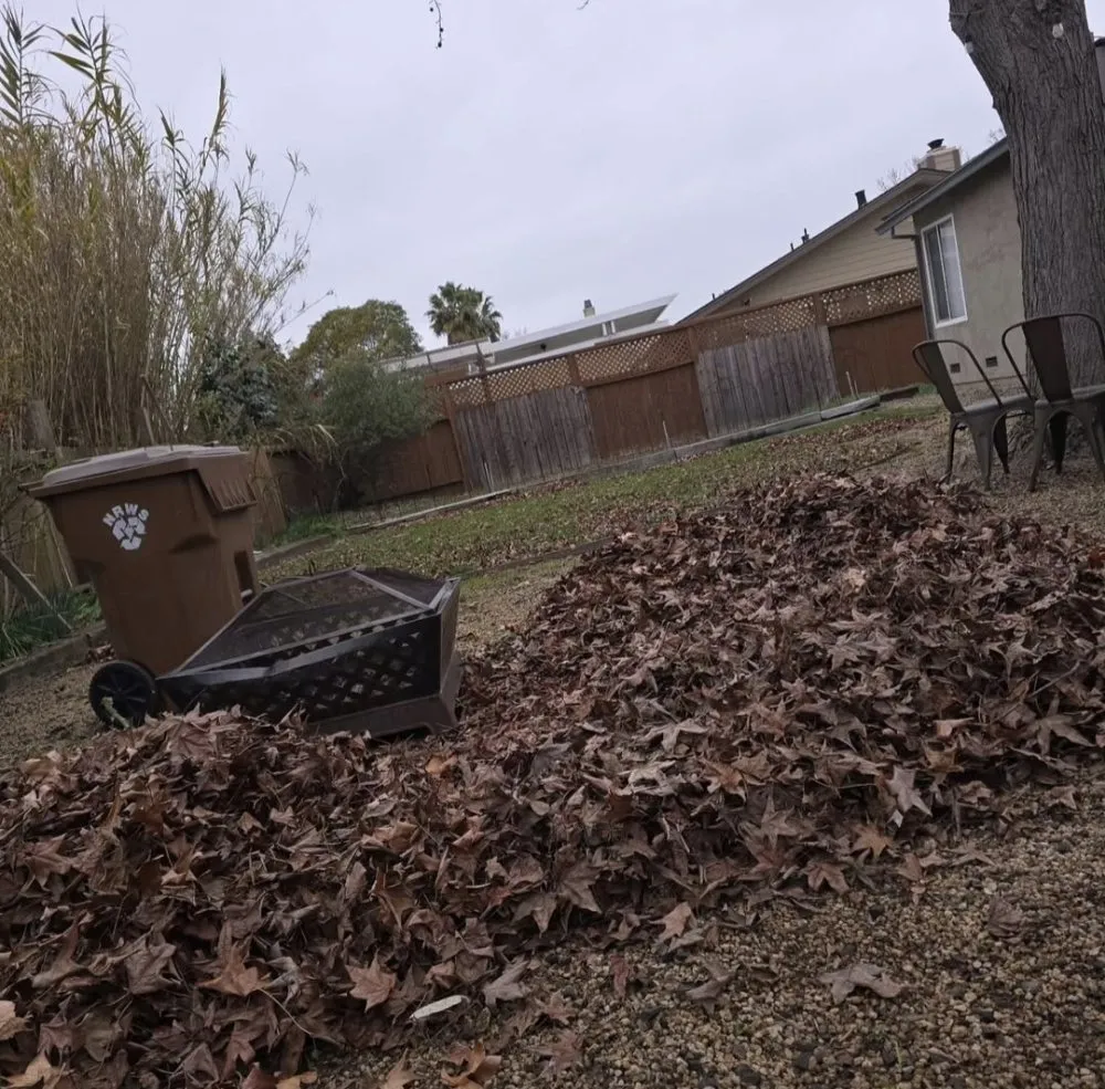 Custom lawn mowing service in Napa, CA - 9 Line Landscaping