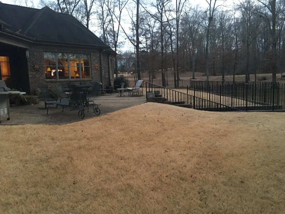 Expert landscape design in Eads, TN - 901 Lawnscapes