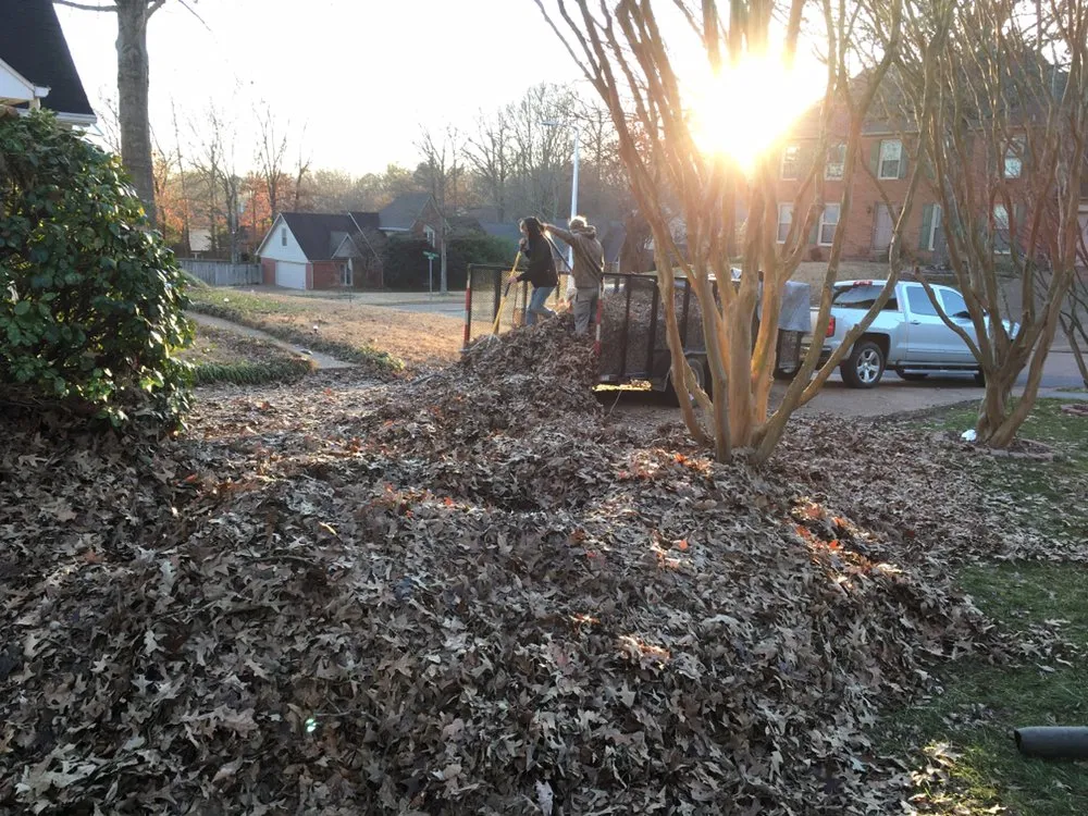 Trusted outdoor landscaping in Eads, TN by 901 Lawnscapes
