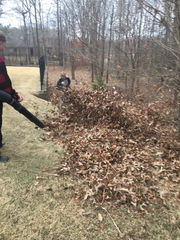 Affordable yard cleanup service experts serving Eads, TN - 901 Lawnscapes