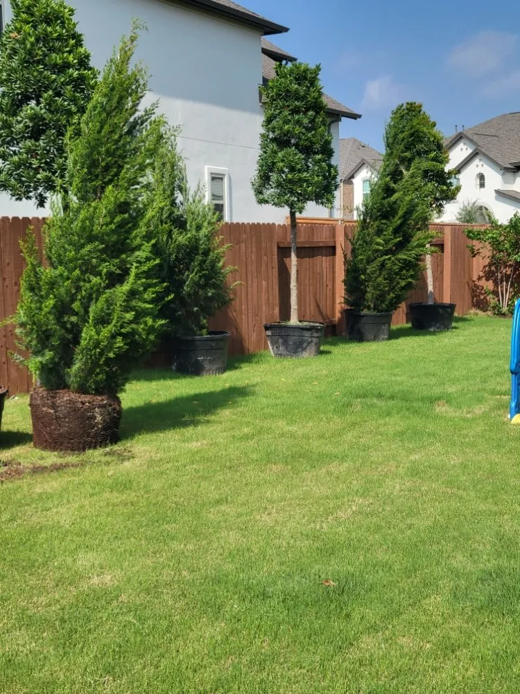 Expert outdoor landscaping in Longview, TX by 903 Landscaping and Design