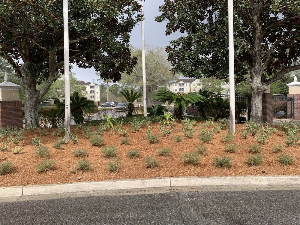 Affordable residential landscaping near you in Jacksonville, FL by 904 Landscaping