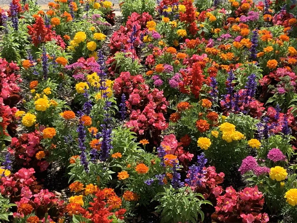 Expert landscaping services in Jacksonville, FL - 904 Landscaping