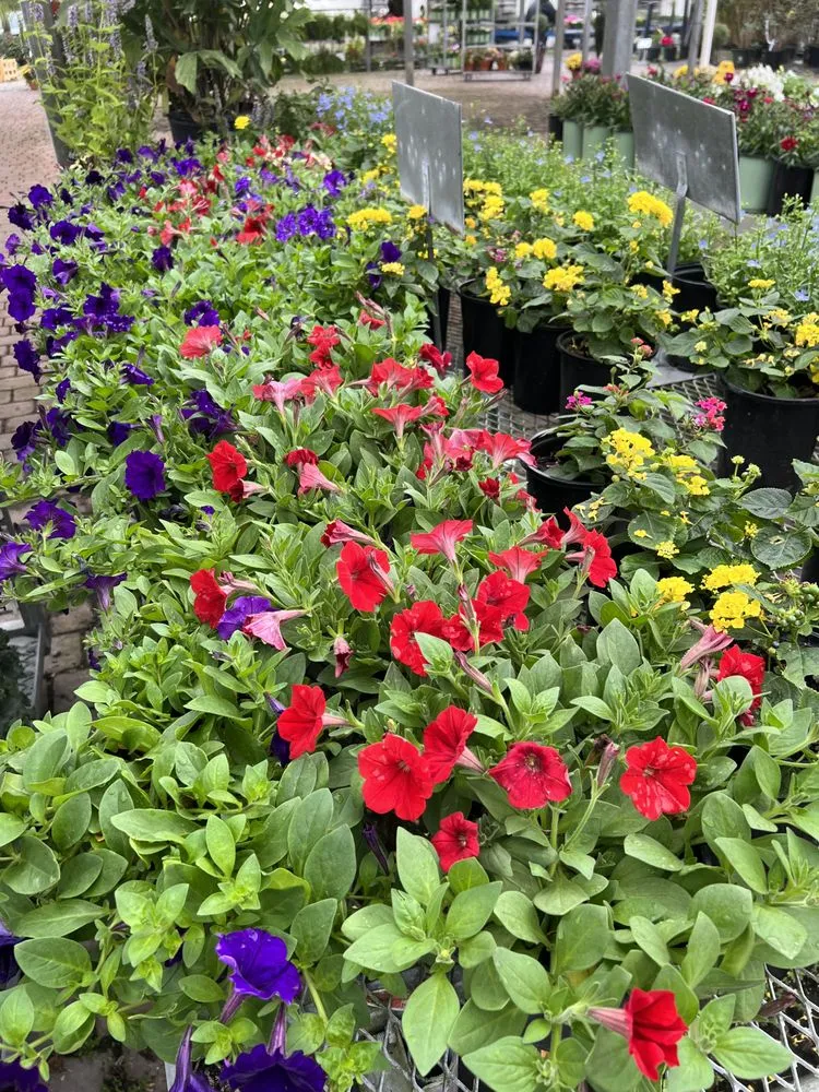 Custom lawn care service in Jacksonville, FL by 904 Landscaping