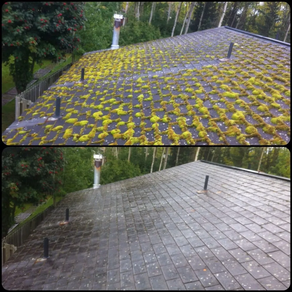 Trusted landscape design in Anchorage, AK by 907 Services