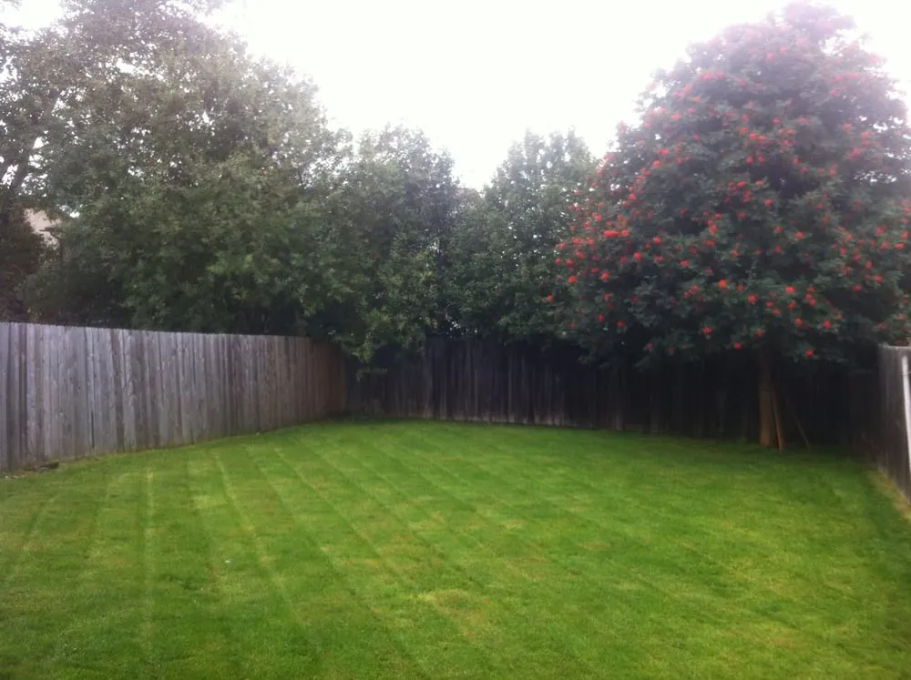 Affordable landscape design for residential properties in Anchorage, AK by 907 Services