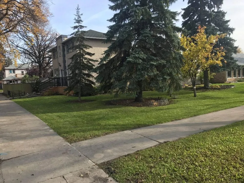 Professional landscaping services in Plano, TX - 911 Lawn Pros