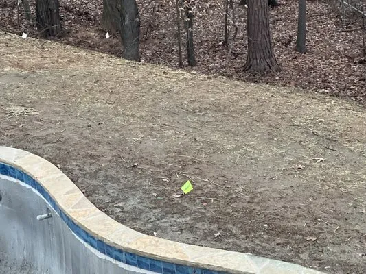 911 Lawn Service Logo