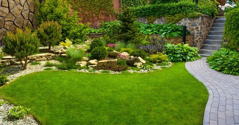 Reliable yard maintenance for beautiful yards across Missouri City, TX - 911 Pro Services