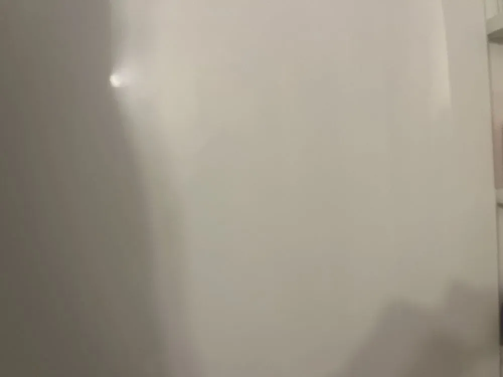 Local yard cleanup service experts serving Akron, NY - 911 Restoration of WNY