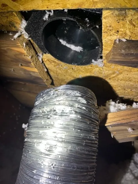 Local yard cleanup service experts serving Akron, NY - 911 Restoration of WNY