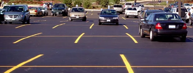 Top-rated landscape installation near you in Maryville, TN by 911 Sealcoat