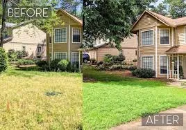 Reliable lawn care service with custom design across Pelzer, SC - 925 Yard Service
