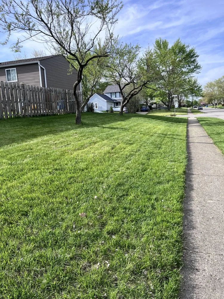 Expert yard maintenance near you in Dayton, OH by 937 Landscpaing