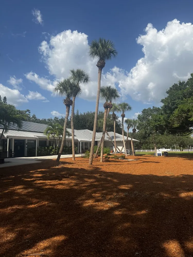 Custom outdoor landscaping experts serving Venice, FL - 941 Home Services